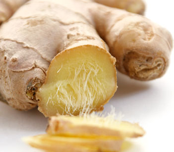 Manufacturers Exporters and Wholesale Suppliers of Ginger Lily Absolute Kannauj Uttar Pradesh